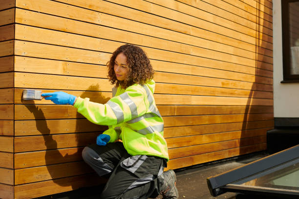 Best Steel Siding Installation  in Drain, OR